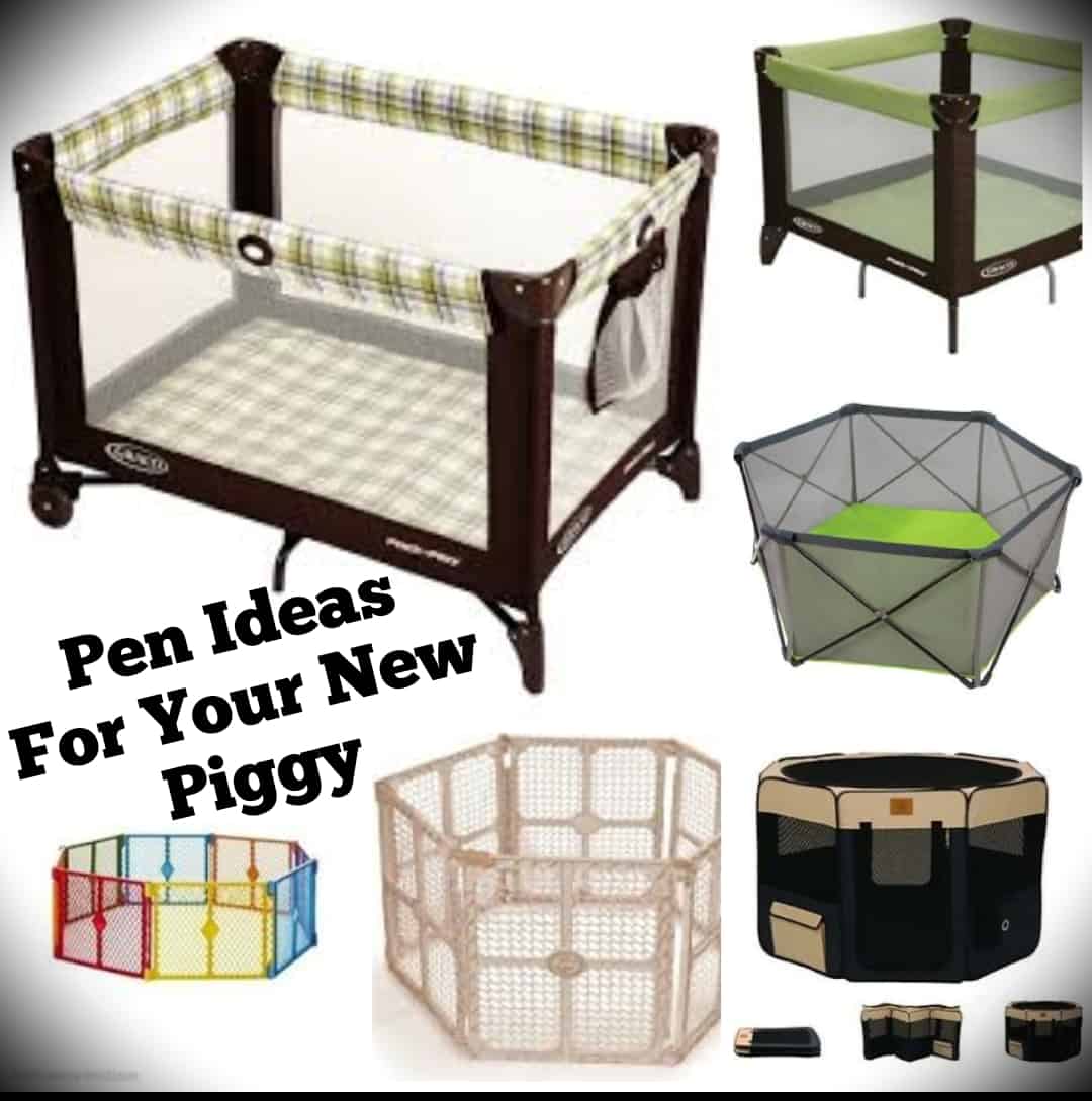 Pet pig cage crate bed
