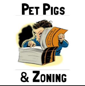 Zoning, pet pig zoning