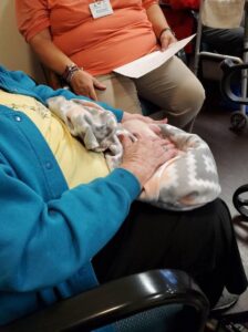 pig nursing home elderly